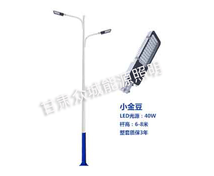 桑珠孜爆款市电路灯